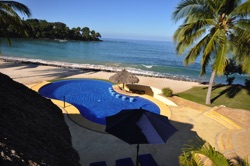 pool palm ocean pool palm ocean